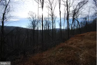 Sir Johns Run Road, Berkeley Springs, WV 25411 - Photo 31