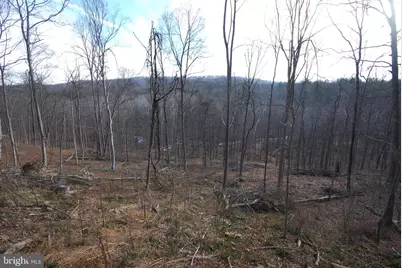 Sir Johns Run Road, Berkeley Springs, WV 25411 - Photo 27