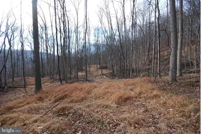 Sir Johns Run Road, Berkeley Springs, WV 25411 - Photo 33