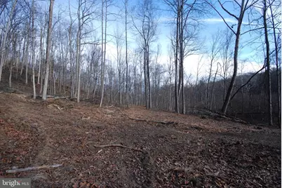 Sir Johns Run Road, Berkeley Springs, WV 25411 - Photo 25