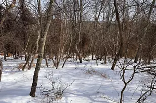 18 52Ac Winchester Grade Rd, Berkeley Springs, WV 25411 - Photo 1