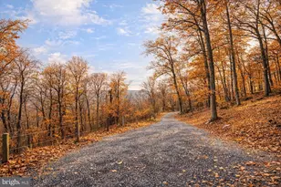 579 Bobcat Dr, Berkeley Springs, WV 25411 - Photo 31