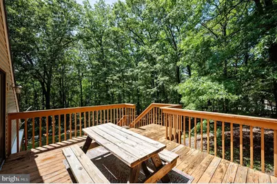734 Log Cabin Lane, Berkeley Springs, WV 25411 - Photo 29