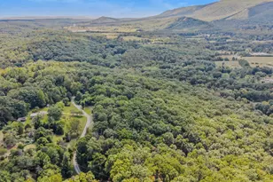 830 Wisteria Ln, Berkeley Springs, WV 25411 - Photo 25