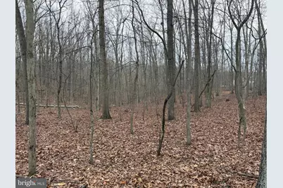 420 Coon Hollow Trail, Hedgesville, WV 25427 - Photo 35