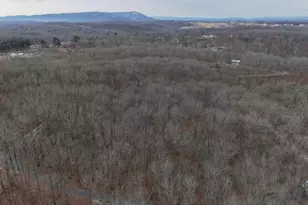 420 Coon Hollow Trail, Hedgesville, WV 25427 - Photo 21