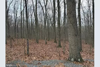 420 Coon Hollow Trail, Hedgesville, WV 25427 - Photo 31