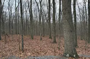 420 Coon Hollow Trail, Hedgesville, WV 25427 - Photo 31