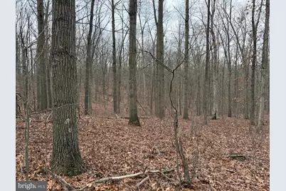 420 Coon Hollow Trail, Hedgesville, WV 25427 - Photo 33