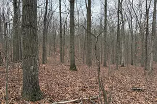 420 Coon Hollow Trail, Hedgesville, WV 25427 - Photo 33