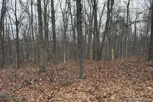 420 Coon Hollow Trail, Hedgesville, WV 25427 - Photo 29