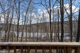 85 Bluebird Ln, Berkeley Springs, WV 25411 - Photo 33