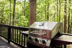 18 Bobcat Ct, Berkeley Springs, WV 25411 - Photo 27