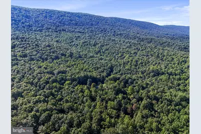 1840 Shade Lane, Berkeley Springs, WV 25411 - Photo 41