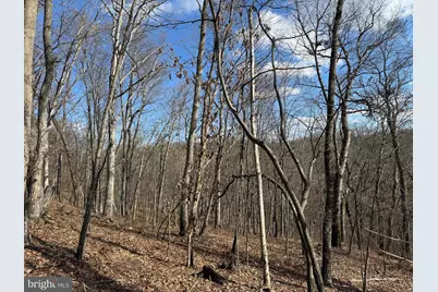 Forever View Lane, Berkeley Springs, WV 25411 - Photo 19