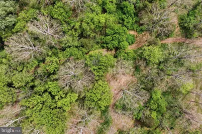 Low Line Road, Great Cacapon, WV 25422 - Photo 31