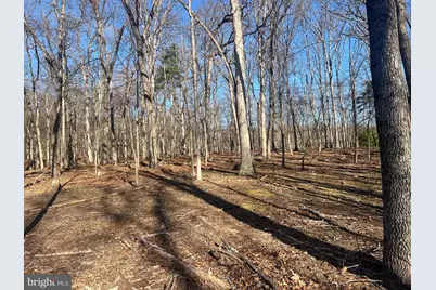 1417 Sideling Mountain Trail, Great Cacapon, WV 25422 - Photo 13