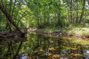 1704 Posey Hollow, Berkeley Springs, WV 25411 - Photo 1