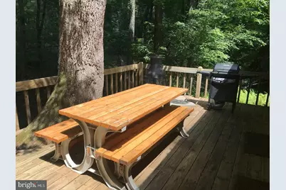 442 Foggy Bottom Lane, Berkeley Springs, WV 25411 - Photo 23