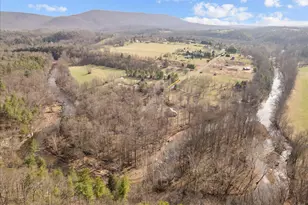 442 Foggy Bottom Ln, Berkeley Springs, WV 25411 - Photo 49