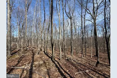 590 Parkside Terrace, Berkeley Springs, WV 25411 - Photo 5