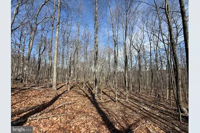 590 Parkside Terrace, Berkeley Springs, WV 25411 - Photo 3