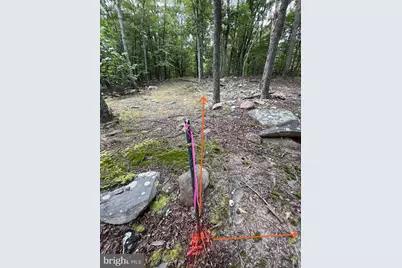 590 Parkside Terrace, Berkeley Springs, WV 25411 - Photo 15