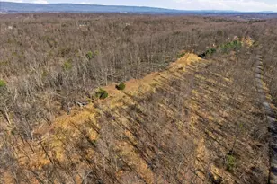 2280 Pine Grove Rd, Berkeley Springs, WV 25411 - Photo 57