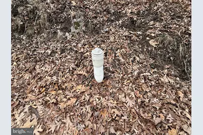 Warbler's Way, Berkeley Springs, WV 25411 - Photo 5