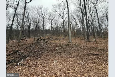 Warbler's Way, Berkeley Springs, WV 25411 - Photo 3