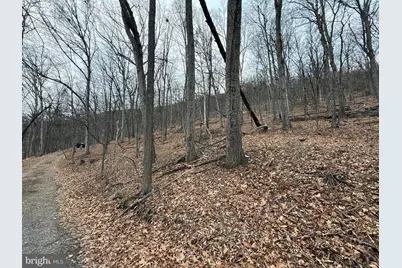 Warbler's Way, Berkeley Springs, WV 25411 - Photo 9