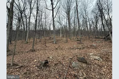 Warbler's Way, Berkeley Springs, WV 25411 - Photo 7