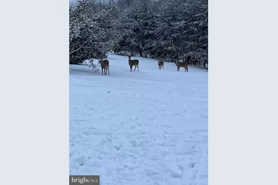 10 Jordan Hollow Lane, Berkeley Springs, WV 25411 - Photo 73