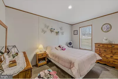 422 Birch Grove Lane, Berkeley Springs, WV 25411 - Photo 17