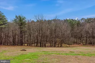 422 Birch Grove Ln, Berkeley Springs, WV 25411 - Photo 39