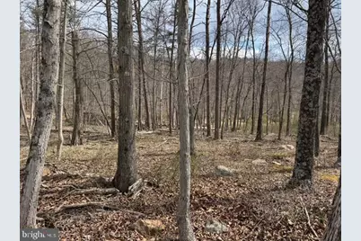Rock Gap Road, Berkeley Springs, WV 25411 - Photo 11