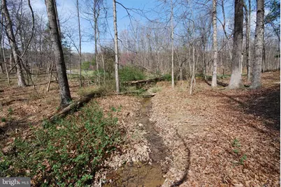 Martin Lane, Berkeley Springs, WV 25411 - Photo 21