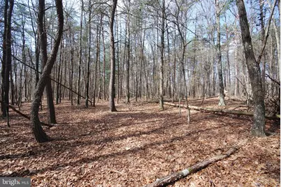 Martin Lane, Berkeley Springs, WV 25411 - Photo 17