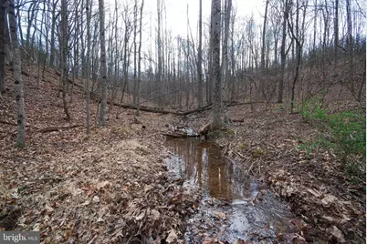 265 Lynch Lane, Berkeley Springs, WV 25411 - Photo 29