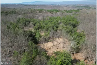 265 Lynch Lane, Berkeley Springs, WV 25411 - Photo 3