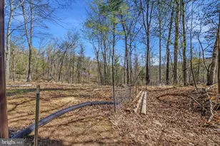 430 Homewood Hollow Ln, Berkeley Springs, WV 25411 - Photo 37