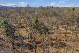 430 Homewood Hollow Ln, Berkeley Springs, WV 25411 - Photo 53