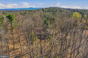430 Homewood Hollow Ln, Berkeley Springs, WV 25411 - Photo 43
