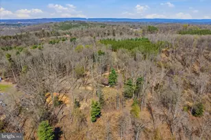 430 Homewood Hollow Ln, Berkeley Springs, WV 25411 - Photo 39