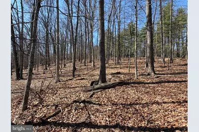 Lot 43 Rapids Point Trl, Great Cacapon, WV 25422 - Photo 7