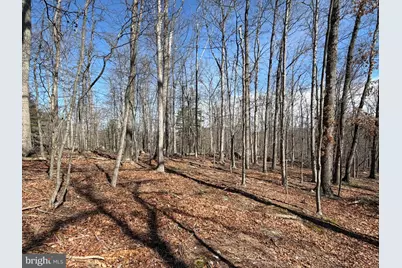 Lot 43 Rapids Point Trl, Great Cacapon, WV 25422 - Photo 9