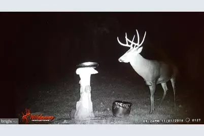 1840 Shade Lane, Berkeley Springs, WV 25411 - Photo 53