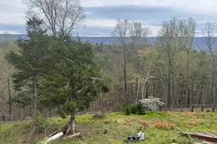 1821 Bears Lope Ln, Great Cacapon, WV 25422 - Photo 17