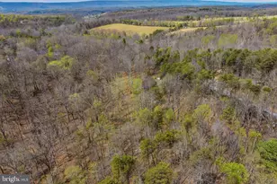 264 Clear Spring Ln, Berkeley Springs, WV 25411 - Photo 31
