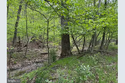 Rock Gap, Berkeley Springs, WV 25411 - Photo 5